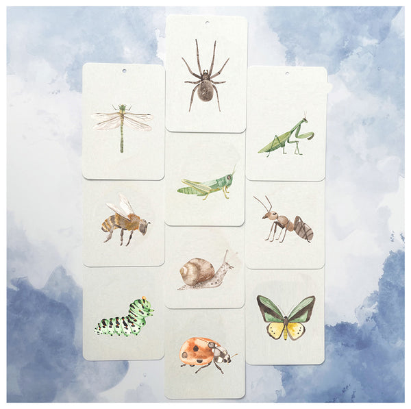 In as Flashcards miniset Insecten - ollibob kosmische kinderwinkel